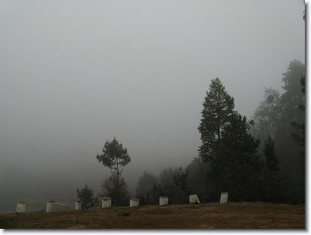 Next slide